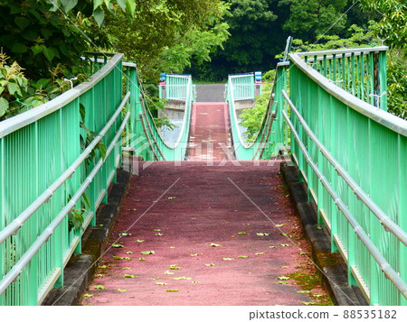 Takanabe moor 88535182