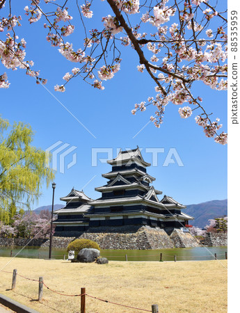 春天松本城和柳樹（櫻花-垂直） 88535959