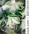 Beautiful spring flowers with green leaves close-up 88536030