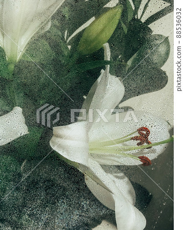 Beautiful spring flowers with green leaves close-up 88536032