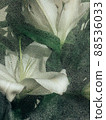 Beautiful spring flowers with green leaves close-up 88536033
