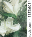 Beautiful spring flowers with green leaves close-up 88536034