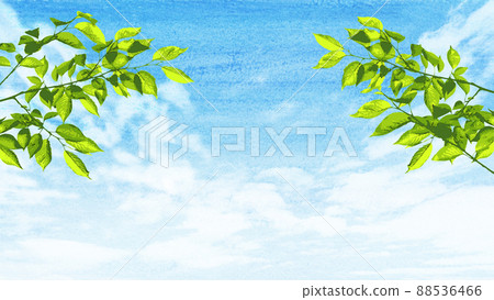 Blue sky, clouds and cherry blossom leaves Blue sky, clouds and cherry blossom leaves 88536466