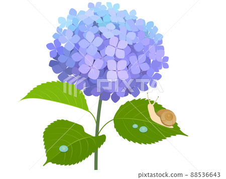 繡球花和蝸牛 繡球花和蝸牛 88536643