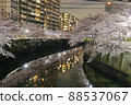 目黑川的夜櫻 88537067