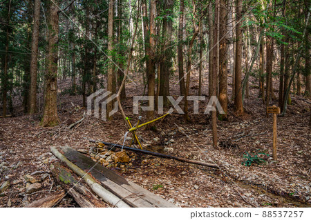 Yamanogami Nature Park Goddess's water 88537257