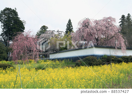 Jixo Temple 88537427