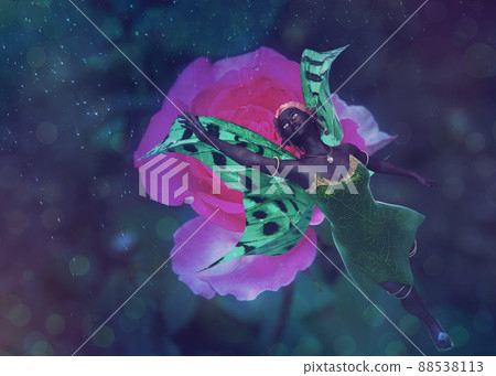Pink rose and fairy Pink rose and fairy 88538113