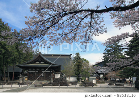 Erinji Temple and Sakura Erinji Temple and Sakura 88538116