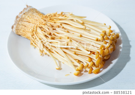 Toramaki蘑菇,一種蘑菇,接近原種金針菇,褐蘑菇),日本製造 Toramaki蘑菇,一種蘑菇,接近原種金針菇,褐蘑菇),日本製造 88538121