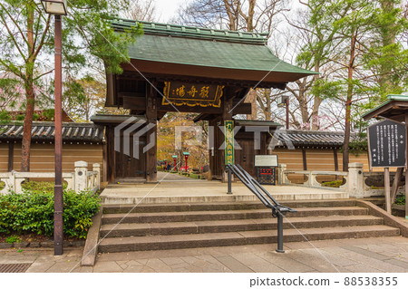 春季世田谷櫻花之旅,淨心寺 春季世田谷櫻花之旅,淨心寺 88538355