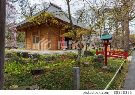 春季世田谷櫻花之旅,淨心寺 春季世田谷櫻花之旅,淨心寺 88538356