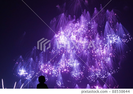 被煙花照亮的人們 88538644
