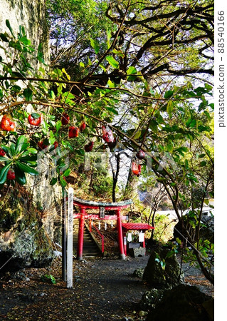 Itsukushima Shrine on Bentenjima, Izu Matsuzaki Beach 88540166