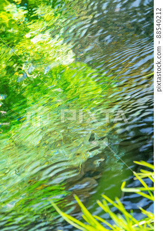 Background material: Fresh green, clear stream, eco-image of the waterside (Hoki-cho, Daisen) Background material: Fresh green, clear stream, eco-image of the waterside (Hoki-cho, Daisen) 88540212