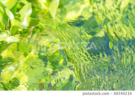 背景材料：新鮮的綠色，清澈的溪流，水邊的生態形象（寶木町，大仙） 88540216