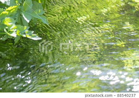 背景材料：新鮮的綠色，清澈的溪流，水邊的生態形象（寶木町，大仙） 88540237