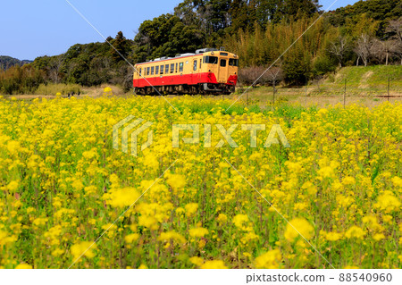 Kominato鐵路春天 Kominato鐵路春天 88540960