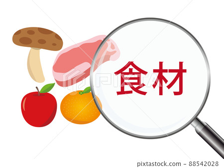 食品 食品 88542028