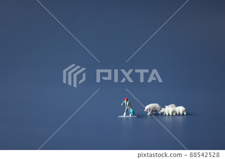 Pigs and farmers-livestock industry- 88542528