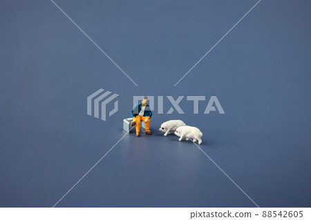 Pigs and farmers-livestock industry- 88542605