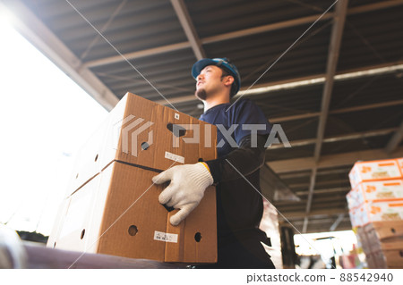 Men's hands sorting cargo Men's hands sorting cargo 88542940