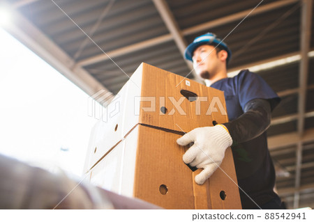 Men's hands sorting cargo Men's hands sorting cargo 88542941