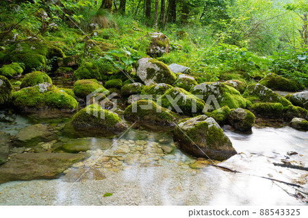 Beautiful green summer nature with a stream of water Beautiful green summer nature with a stream of water 88543325