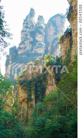 Looking up at Wulingyuan in Zhangjiajie, China Looking up at Wulingyuan in Zhangjiajie, China 88543588
