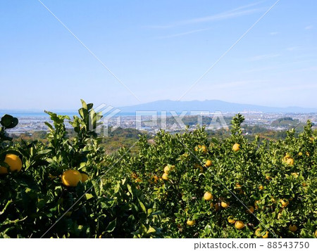 Scenery of rainwater (Tamana City, Kumamoto Prefecture) Scenery of rainwater (Tamana City, Kumamoto Prefecture) 88543750