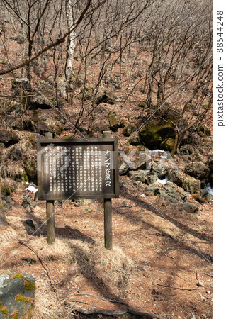 伊香保森林公園 陰間谷風洞 伊香保森林公園 陰間谷風洞 88544248
