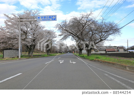 井上公園/栃木縣真岡市 井上公園/栃木縣真岡市 88544254