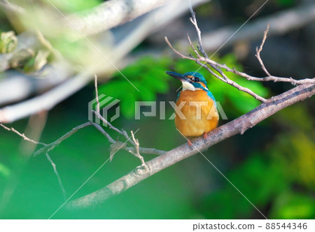 Scenery where jade melts Scenery where jade melts 88544346