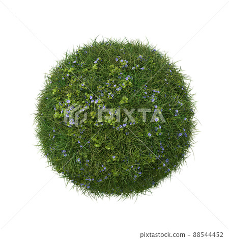 Grass ball with speedwell flowers isolated on white. 3D image. 88544452