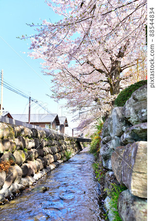 小川水壩/小畑（群馬縣坎羅町）[2022.4] 88544834