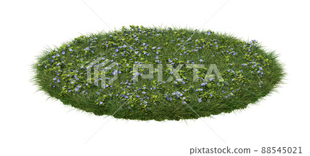 A round patch of grass full of veronica flowers, isolated on white background. 3d image 88545021