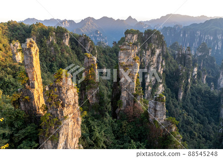 China Zhangjiajie Wulingyuan 88545248