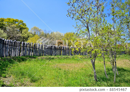 Saga Prefecture Yoshinogari Historical Park 88545467