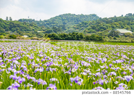 Ogimi Village Oklarelka Ogimi Village Oklarelka 88545766