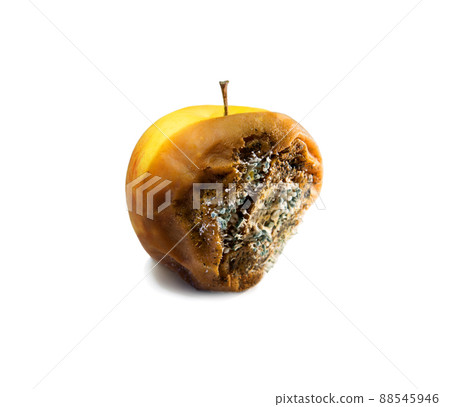Rotten apple close-up on a white background 88545946