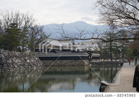 Sakura April 2022 Sakura April 2022 88545993
