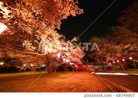 櫻花 2022 年 4 月 櫻花 2022 年 4 月 88546007