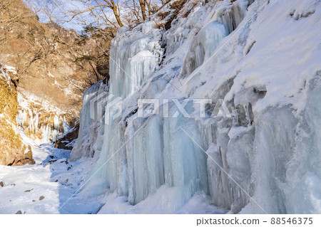 [Tochigi Prefecture] Unryu Ravine in winter_icicles_06 88546375
