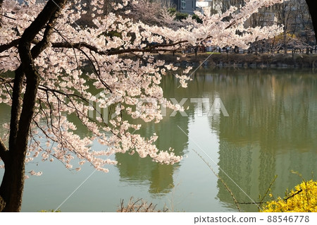 Icheon Hot Spring Park 88546778
