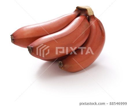 莫拉德香蕉 88546999