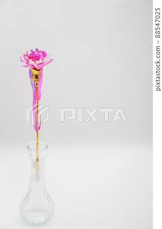 Mother's Day gift Pink Aurora Carnation 88547025
