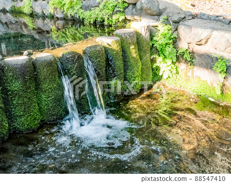 泉鷹路風景:純淨的泉水流 泉鷹路風景:純淨的泉水流 88547410