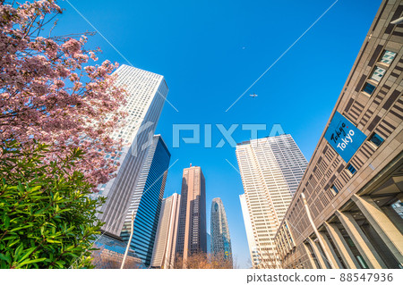 Tokyo cityscape of Japan You can see the Tokyo Metropolitan Government Building, cherry blossoms (Gotenbazakura), and aircraft passing over the sky. Tokyo cityscape of Japan You can see the Tokyo Metropolitan Government Building, cherry blossoms (Gotenbazakura), and aircraft passing over the sky. 88547936