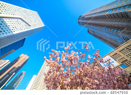 Tokyo cityscape of Japan You can see the Tokyo Metropolitan Government Building, cherry blossoms (Gotenbazakura), and aircraft passing over the sky. 88547938