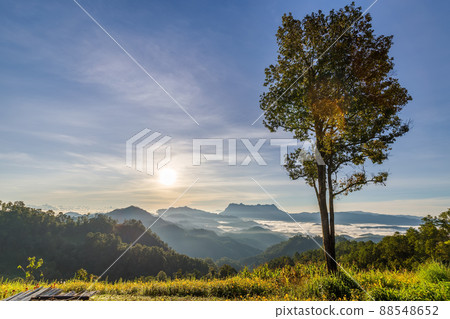 Beautiful landscape in the morning at Doi Luang Chiang Dao, Chiang Mai, Thailand Beautiful landscape in the morning at Doi Luang Chiang Dao, Chiang Mai, Thailand 88548652